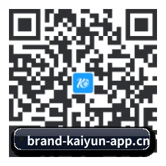 Apple 移动终端版 二维码
